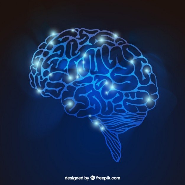 cerebro-brilhante_